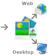 Web or Desktop
